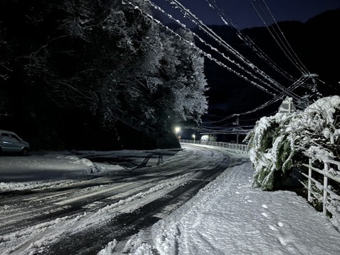 1767393285367_copy_738x554