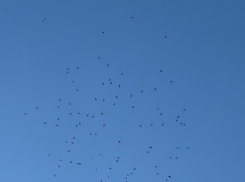 20251230_135720_copy_777x577