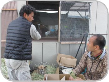 IMG_0460