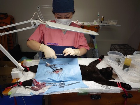 DSC_0612_copy_800x600