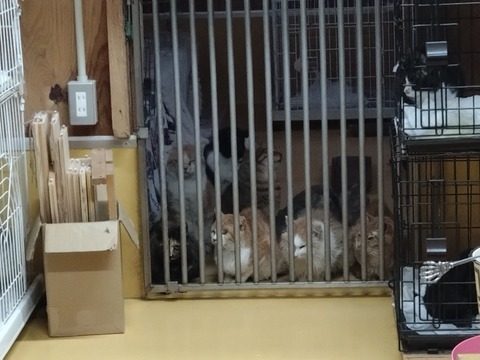 20251103_071618_copy_816x612