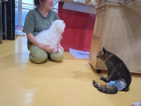 20251020_161937_copy_800x600