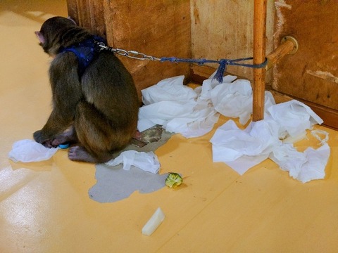 20230223_073452~2_copy_800x600