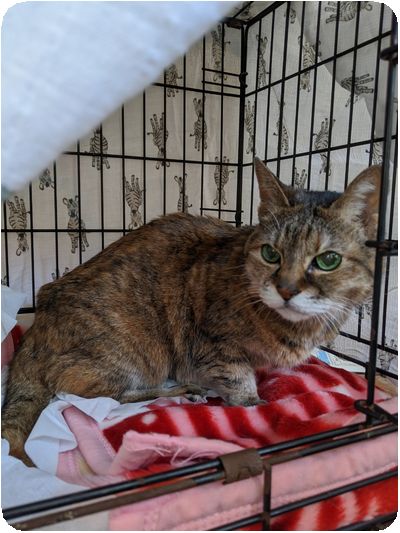 line_139668218159948