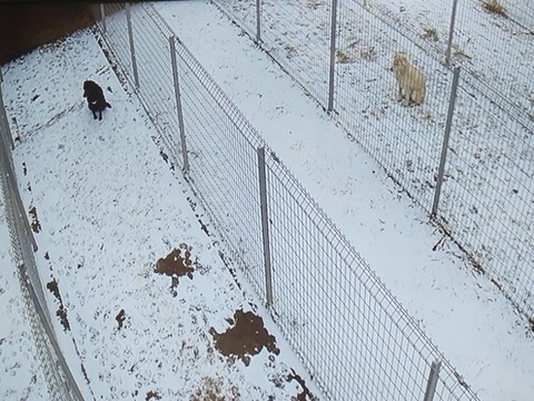 20260208_075353_copy_800x600