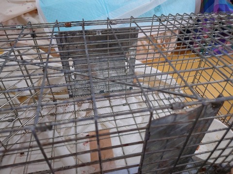 20230129_105423_copy_800x600