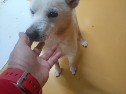 20260123_092016_copy_800x600