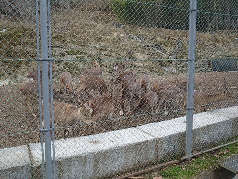 DSC_2840_copy_800x600