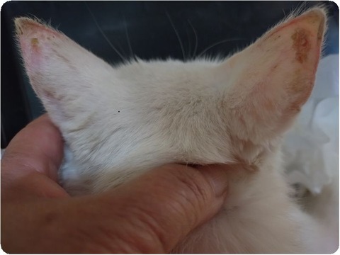 original_a1fab8d8-c322-4dda-8ac4-1ae355f75539_20251120_095137