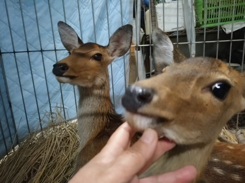 20260922_185540~2_copy_800x600