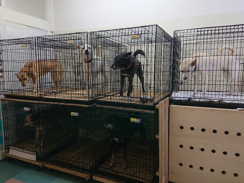 DSC_6889_copy_800x600