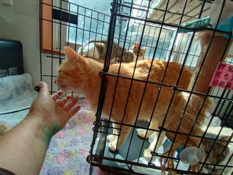 20260223_102211_copy_800x600