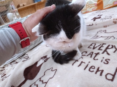 20251102_191320_copy_800x600