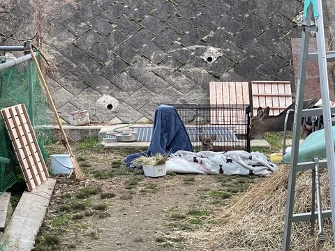 1677495754480_copy_800x600