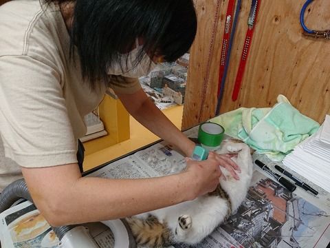 DSC_5846_copy_800x600