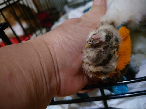 20230223_185039_copy_800x600