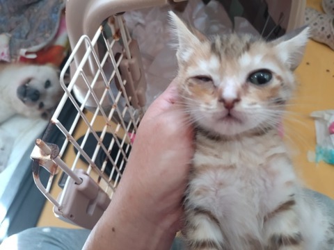 20251024_121449_copy_800x600_1