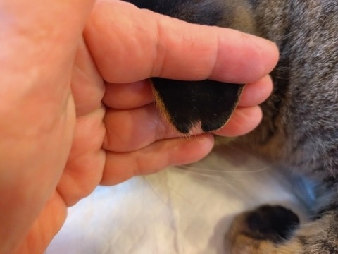 20251124_142904_copy_800x600