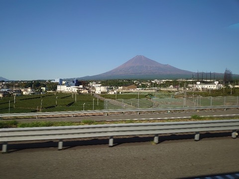 DSC_0975_copy_800x600