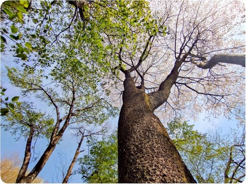 20250421_083234-EDIT