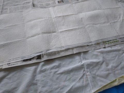 20250827_121539_copy_800x600