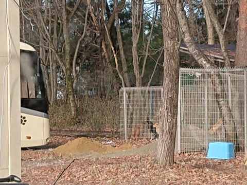 DSC_5866_copy_800x600