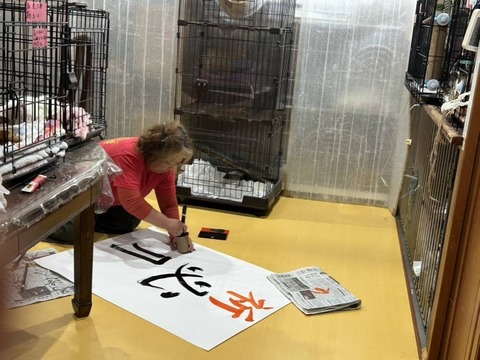 1769410650334_copy_738x554