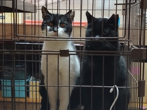 20260102_090712_copy_816x612