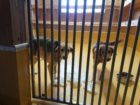 DSC_5879_copy_800x600