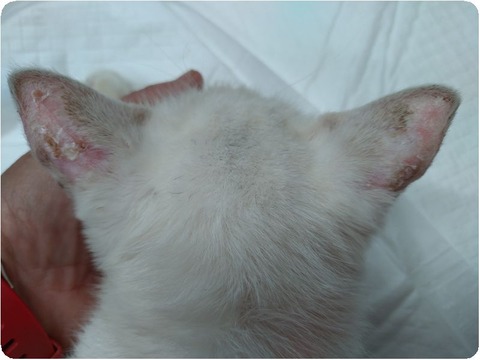 original_34138b0c-3aaa-47df-b4fa-dd42d6fb6ef9_20251120_095227