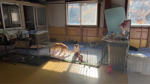 1767666342281_copy_853x480