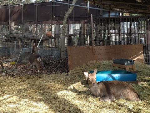 20251223_114736_copy_842x633