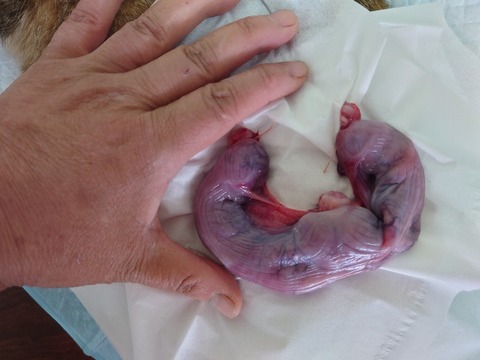 20230405_075901_copy_800x600