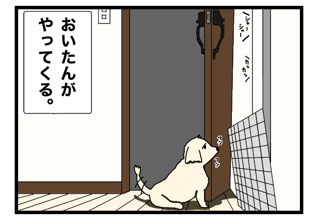 犬の食い意地はいつもすごい 夫婦ゲンカは犬に食わせられない 犬の食い意地はいつもすごい 夫婦ゲンカは犬に食わせられない