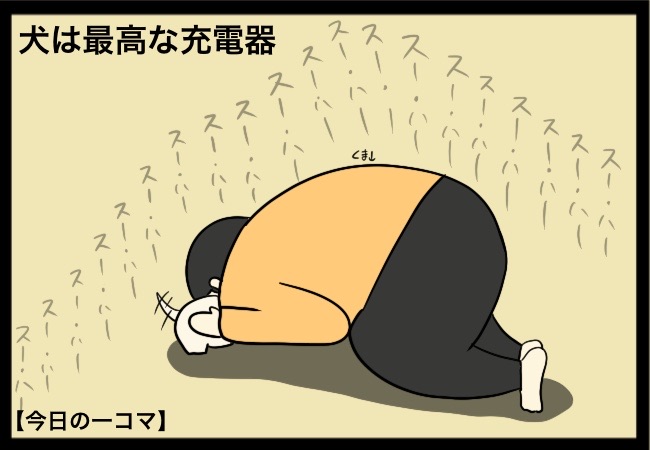 今日の一コマ 夫婦ゲンカは犬に食わせられない