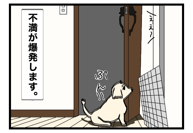 犬の食い意地はいつもすごい 夫婦ゲンカは犬に食わせられない 犬の食い意地はいつもすごい 夫婦ゲンカは犬に食わせられない