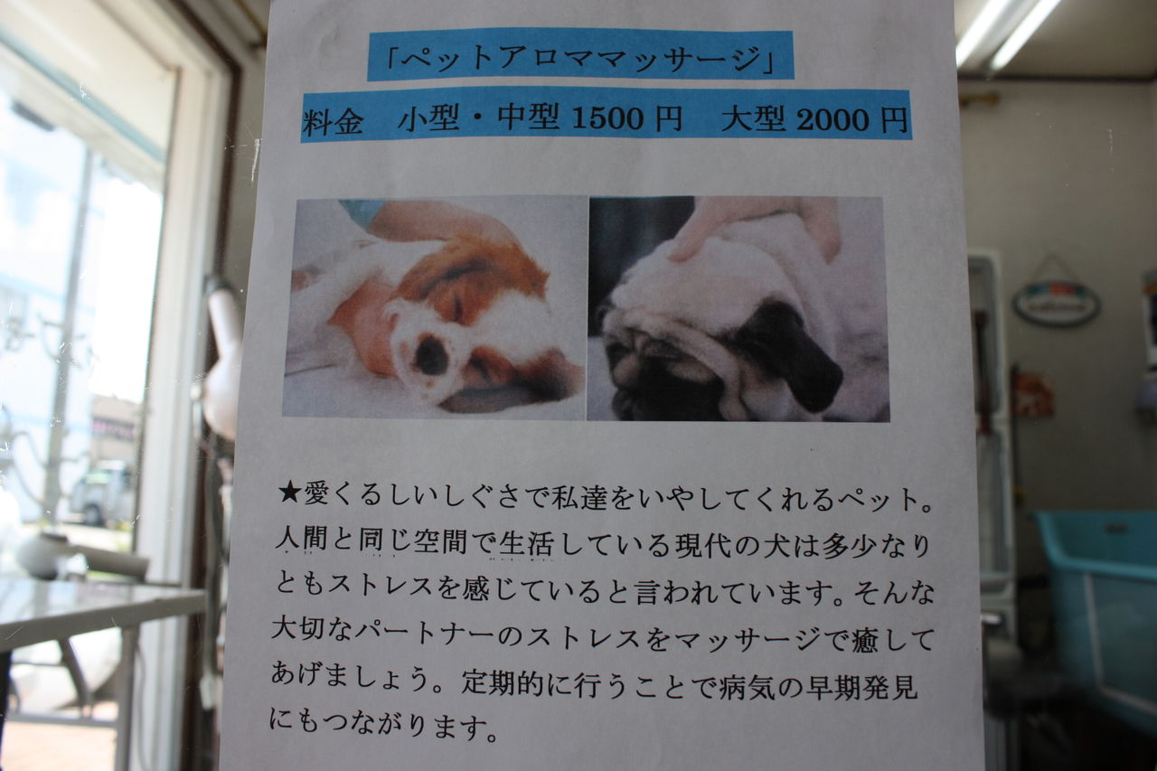 ペットアロママッサージ 静岡県沼津市の犬のトリミング いぬの部屋 キャンディ ペットアロママッサージ 静岡県沼津市の犬のトリミング いぬの部屋 キャンディ
