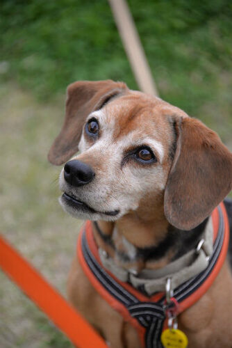 sKSLQlnJoMc4KVTY1438226358_1438226389