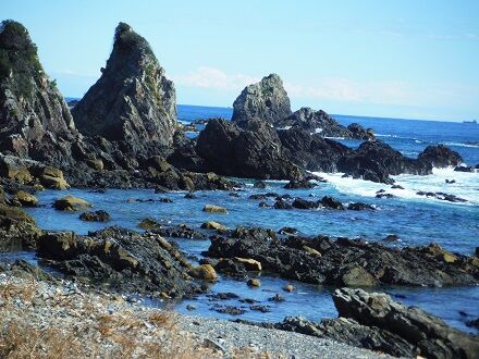 今季最後のシュノーケルの後また荒船海岸へ 庭便りと周りの自然