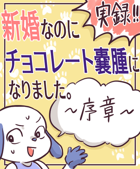 チョコレート嚢腫 表紙
