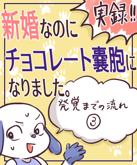 チョコレート嚢腫3