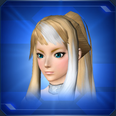 花鳥風月ハルコタンスタイル タマヒメ Pso2 思い出のトワイライトルーン