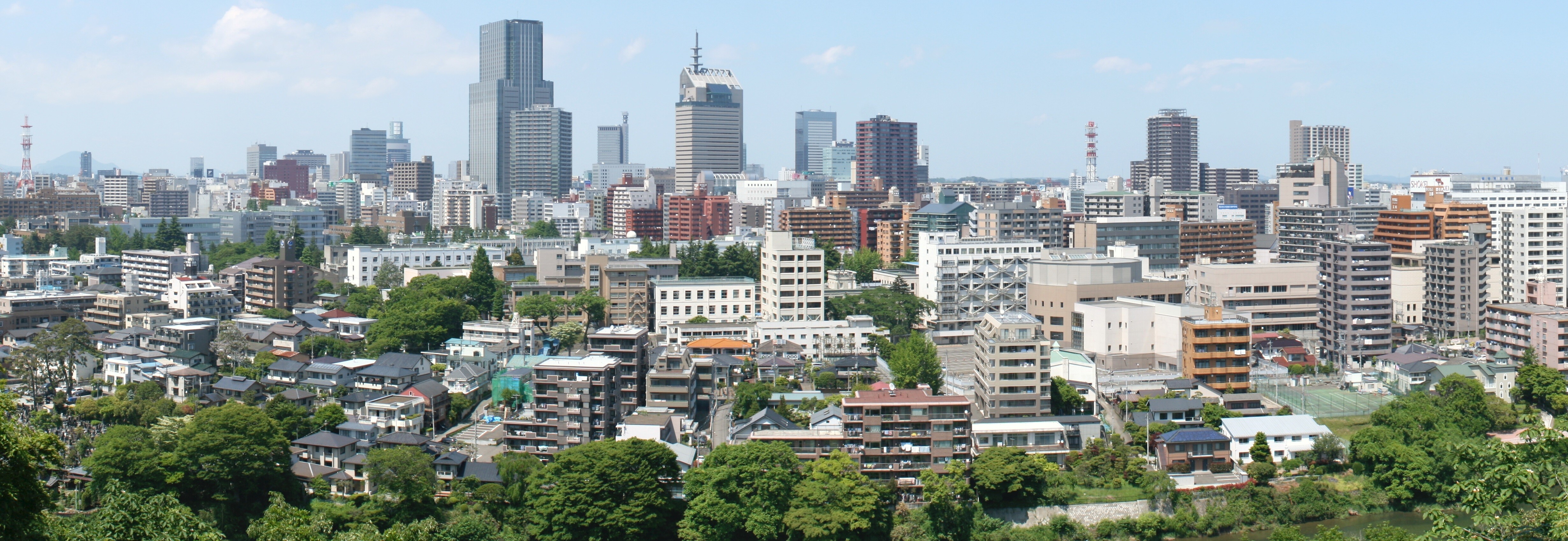 Sendai_City_Panorama_from_Atago_Shrine_2010-06-06_cropped-custom