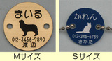 img10004624809