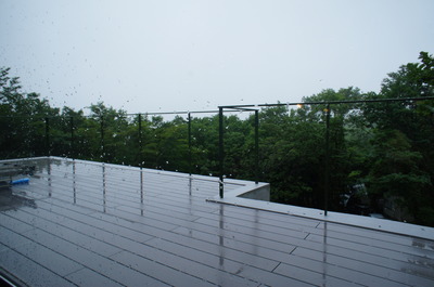 DSC09103