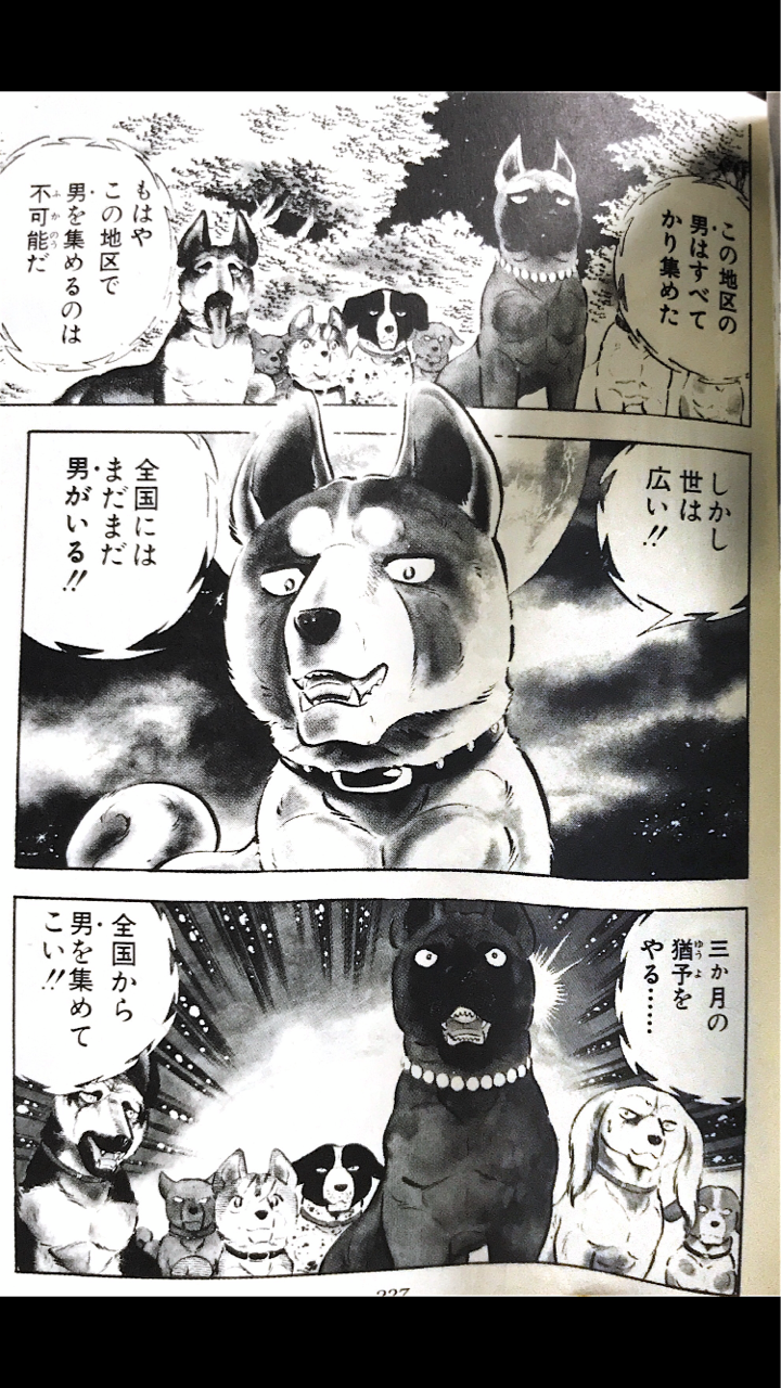 すっかり忘れてたので 銀河 流れ星 銀 の犬種でも オカ ミステリオのニワカの塊