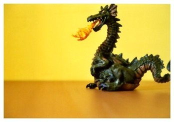 dragon221