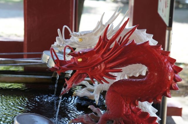 dragon001