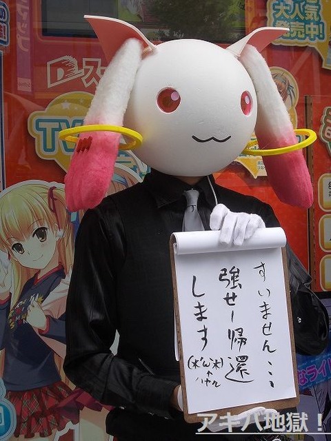 334