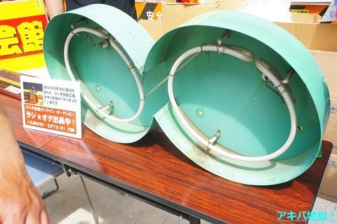 DSC06306